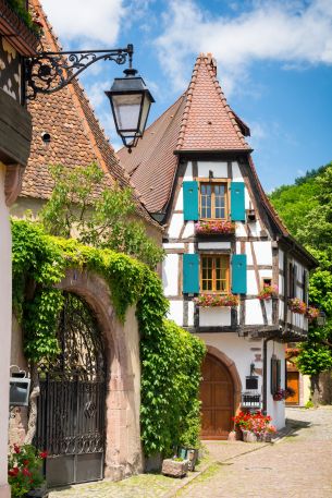 Kayersberg - Elsass (c) AdobeStock AdobeStock_165155883 Kayersberg - Elsass
