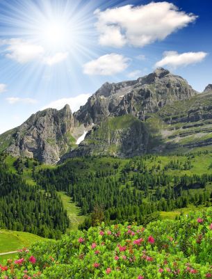 (C) Copyright Frhling in Laas im Vinschgau,
 dahinter die tief verschneite Ortelergruppe mit ihren fast 100 Gletschern: Sdtirol Marketing/Frieder Blickle