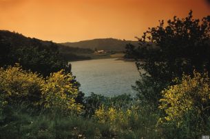 (C) Saarburg/Saar: Buttermarkt und Leukbach: Merten, Hans Peter